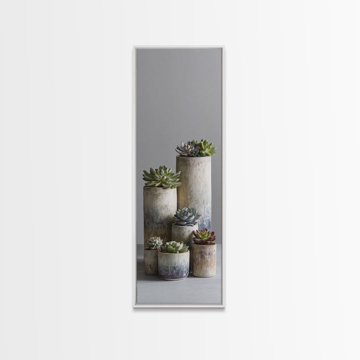 Succulent Collection in Ceramic Planters Canvas Print, Patio Art, Outdoor Wall Decor, Patio Decor, Fine Art, Outdoor, PAT-1x3-81