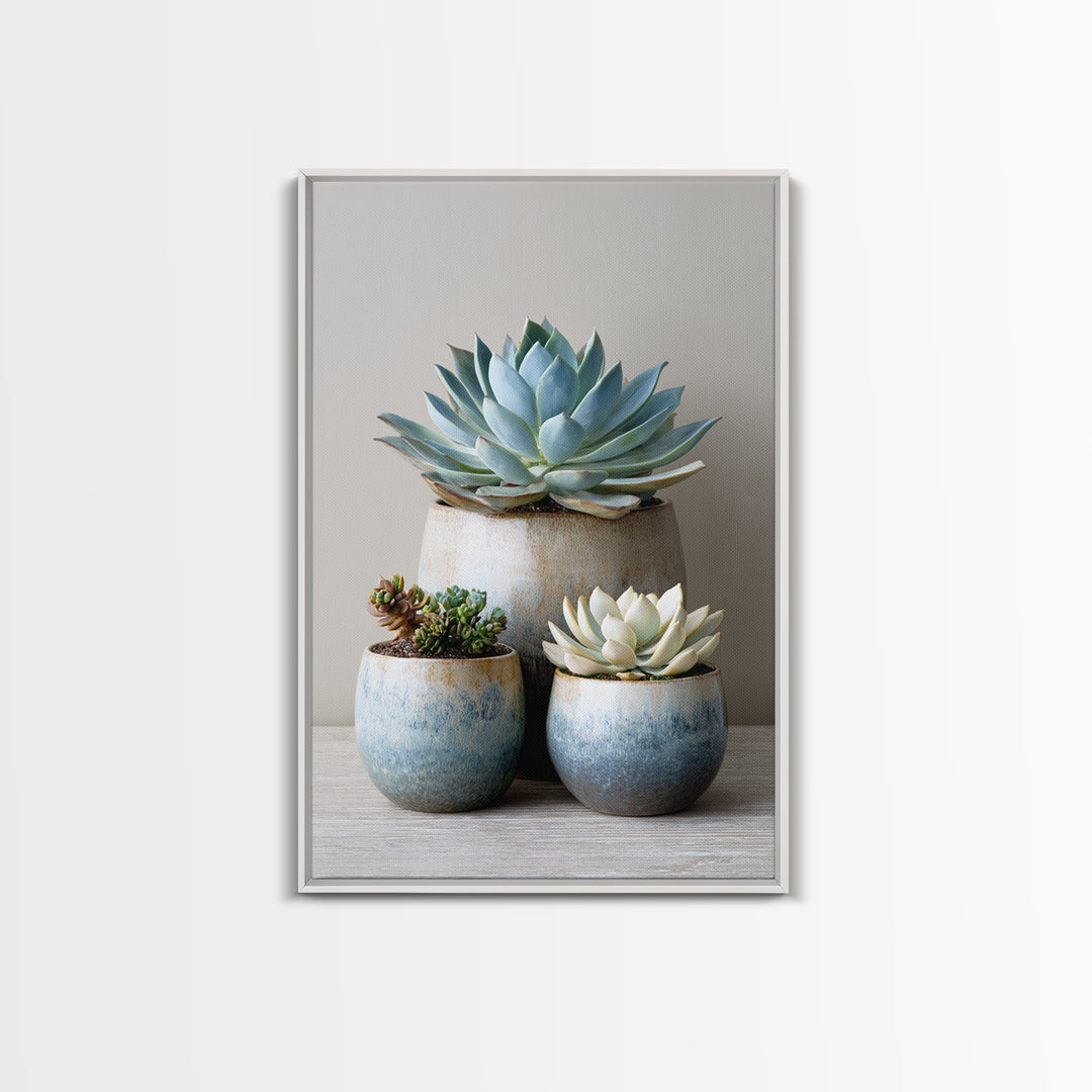 Succulent Collection in Ceramic Planters Canvas Print, Patio Art, Outdoor Wall Decor, Patio Decor, Fine Art, Outdoor, PAT-2x3-77
