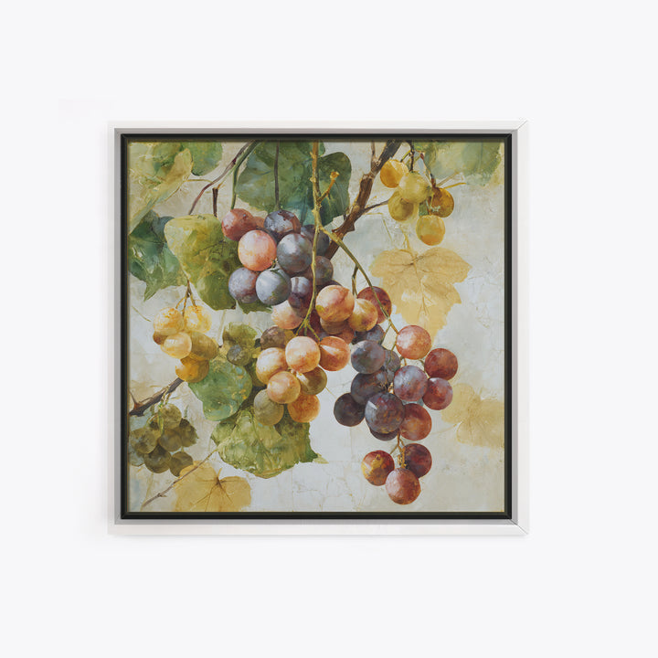 Wine Grapevine Botanical Study Framed Canvas Print, Restaurant Art, Neutral Decor, Restaurant Decor, Oil Painting, Bistro, RES-1x1-63