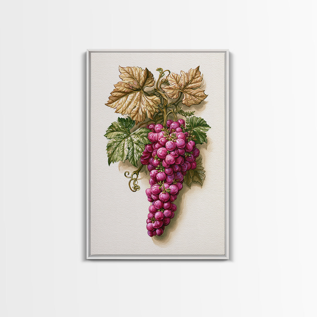 Wine Grapevine Botanical Study Canvas Print, Restaurant Art, Canvas, Restaurant Decor, Fine Art, Bistro, Living Room Decor, RES-2x3-23