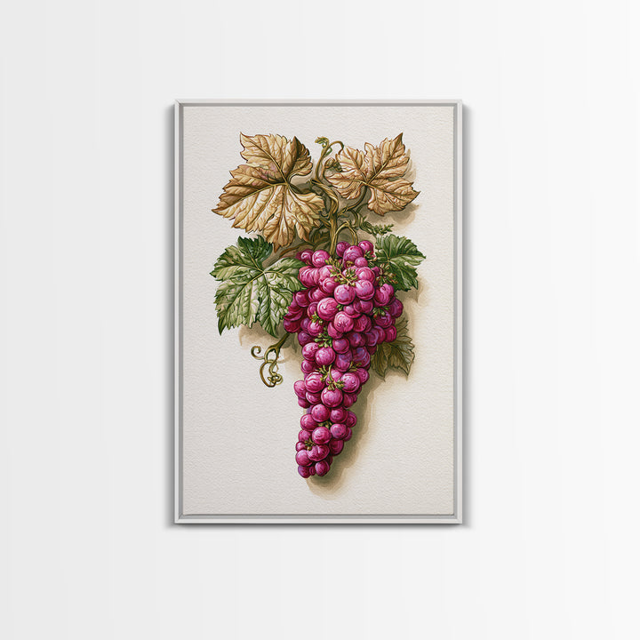 Wine Grapevine Botanical Study Canvas Print, Restaurant Art, Canvas, Restaurant Decor, Fine Art, Bistro, Living Room Decor, RES-2x3-23