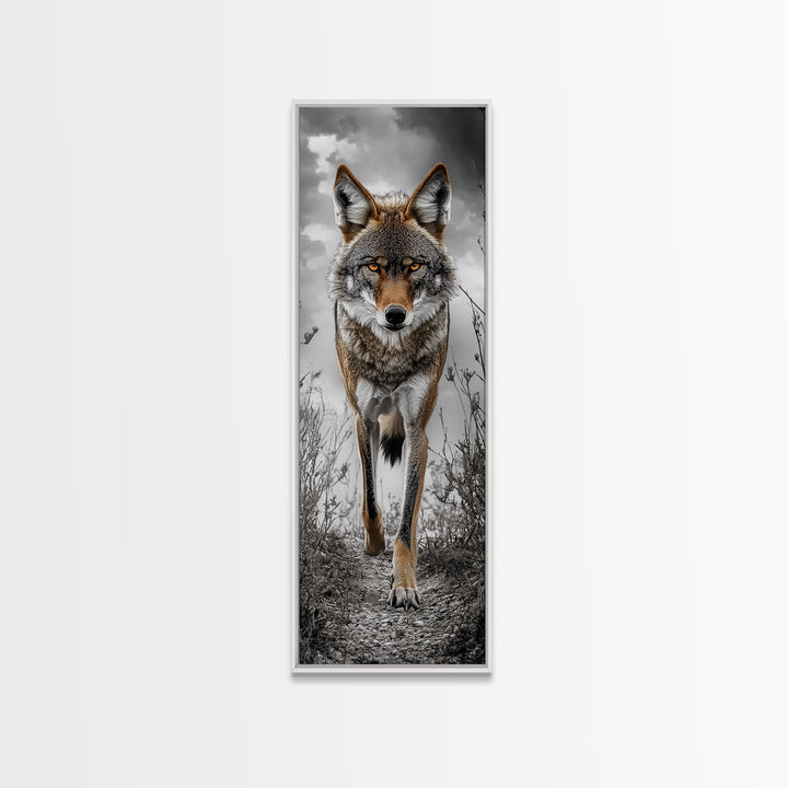 Intense Coyote Stare Framed Canvas Print | Wildlife Wall Art | Rustic Decor | Moody Art | Southwest Wall Art | Above Sofa Art | Gift Idea