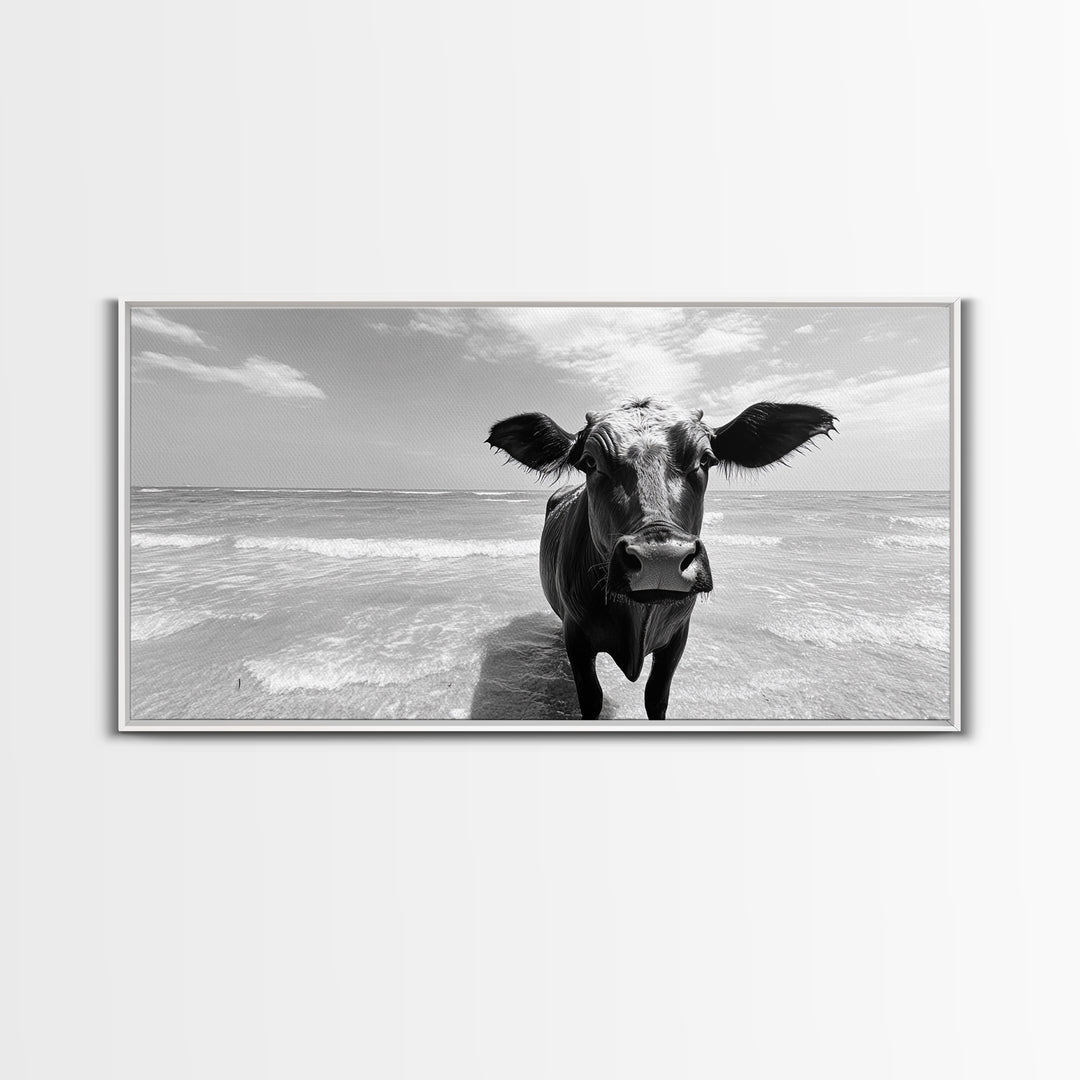 Curious Beach Cow, coastal wall art, cow painting, whimsical art, black and white photography, farmhouse decor, seascape painting, Canvas Print