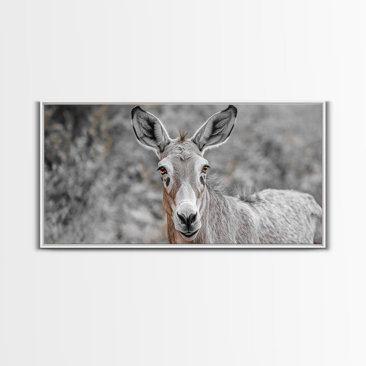 Donkey Close-Up Framed Canvas Print | Rustic Farmhouse Art | Moody Animal Portrait | Southwest Wall Art | Extra Wide Art | Above Couch Decor