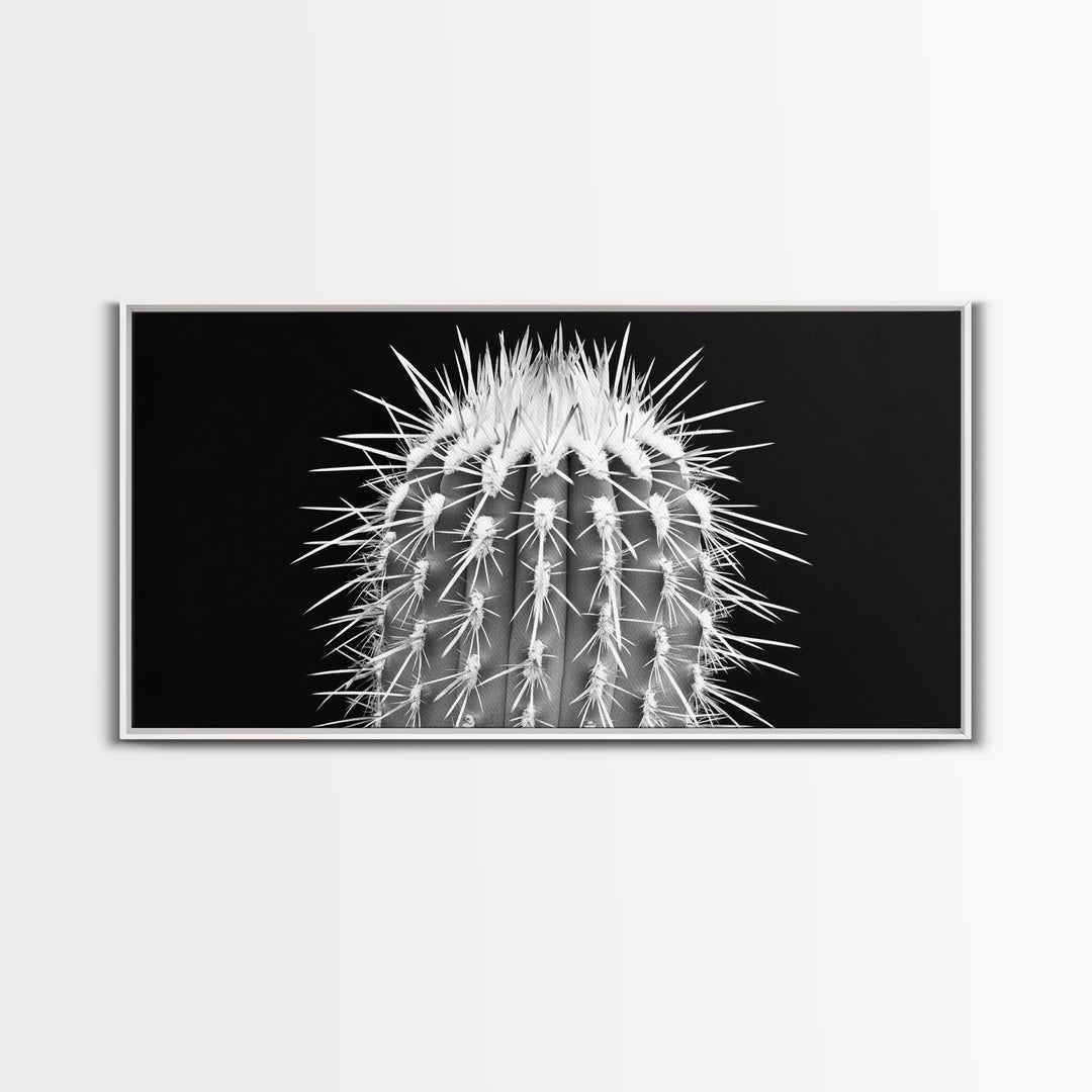 Cactus Spines, southwest wall art, desert art, botanical prints, geometric wall art, nature photography, sharp contrast, Framed Canvas Print
