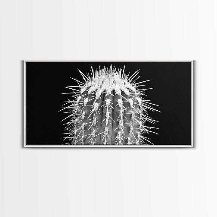 Cactus Spines, southwest wall art, desert art, botanical prints, geometric wall art, nature photography, sharp contrast, Framed Canvas Print
