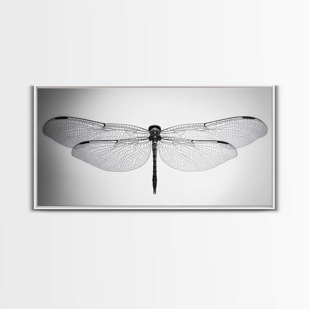 Dragonfly, line art, minimalist art, black and white art, nature painting, botanical prints, extra wide art, framed canvas print