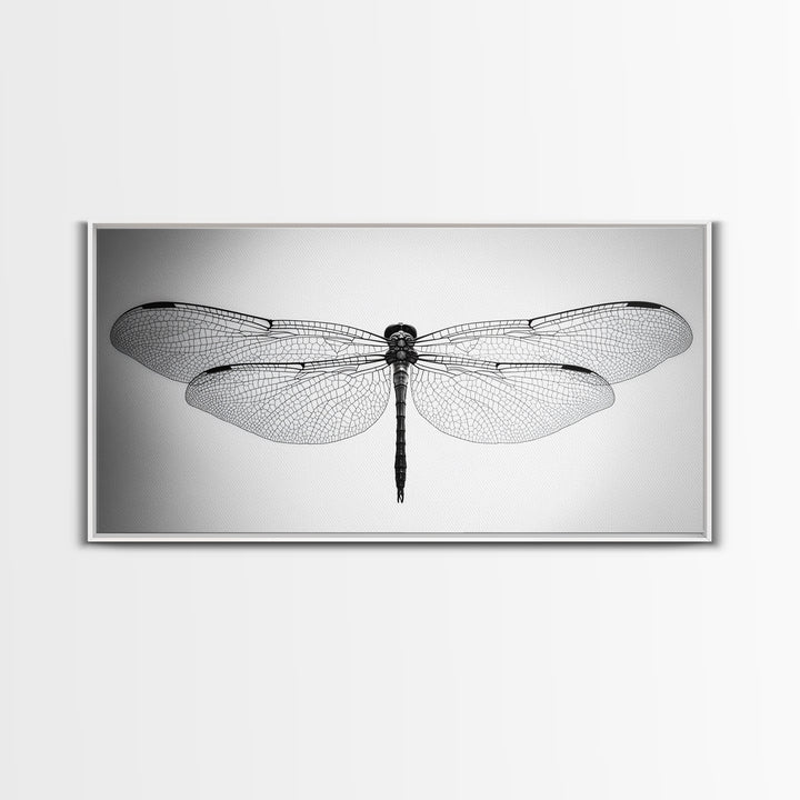 Dragonfly, line art, minimalist art, black and white art, nature painting, botanical prints, extra wide art, framed canvas print