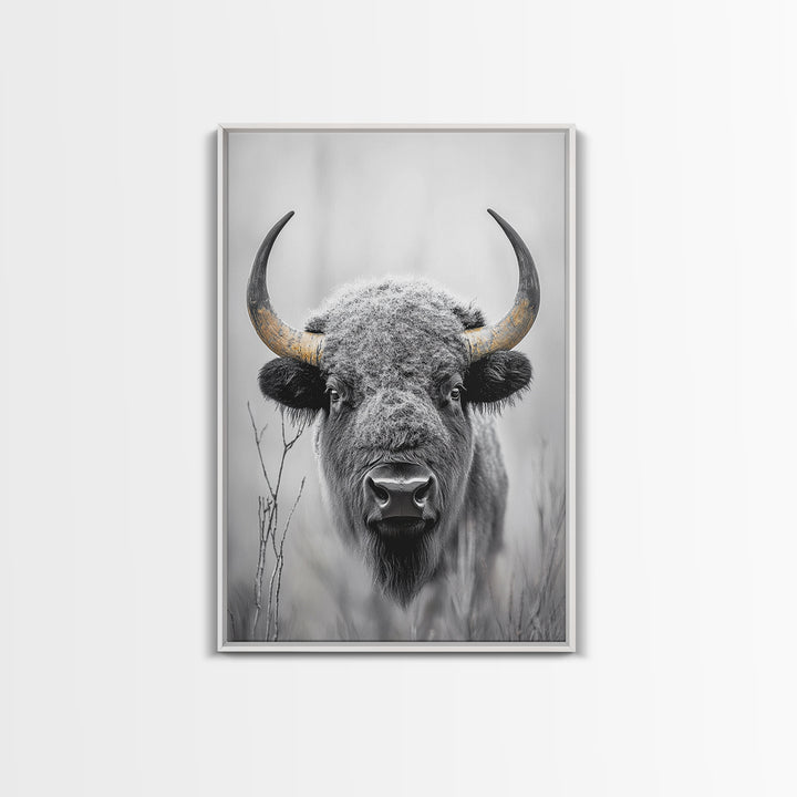 Bison, buffalo art, wildlife painting, framed canvas print, rustic decor, western wall art, moody nature, farmhouse animal art, southwest