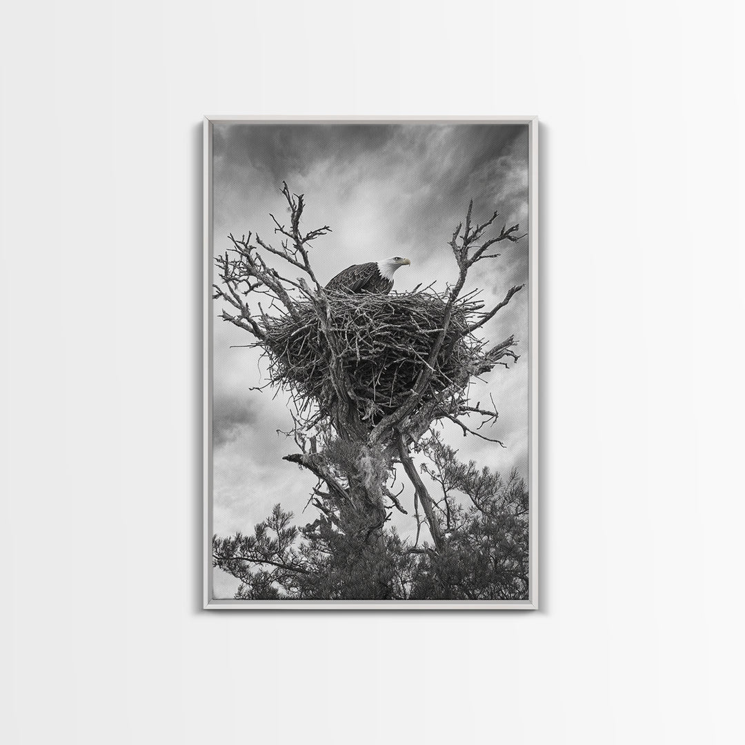 Bald Eagle, bird art, nature photography, moody art, rustic decor, patriotic wall art, black and white, framed canvas print, wildlife art