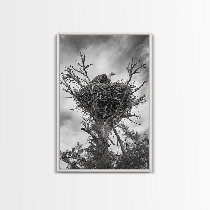 Bald Eagle, bird art, nature photography, moody art, rustic decor, patriotic wall art, black and white, framed canvas print, wildlife art