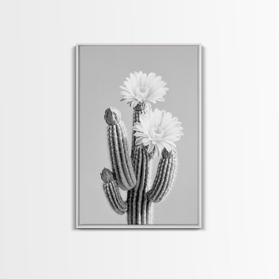 Cactus Bloom, desert botanical, minimalist art, black and white, southwest wall art, framed canvas print, vertical wall art, moody art