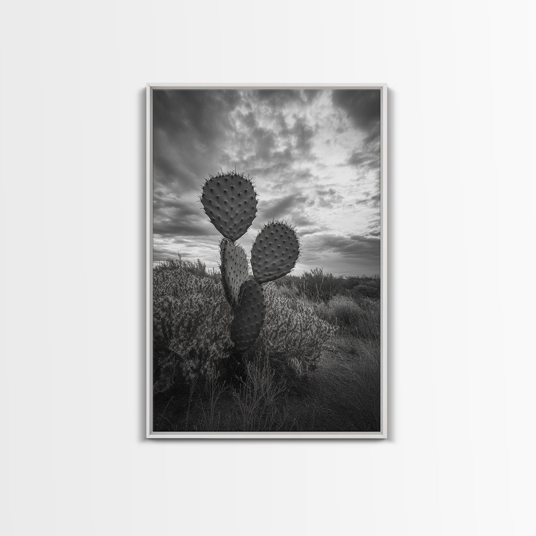 Prickly Pear, cactus art, Joshua tree art, wabi sabi art, moody art, black and white, framed canvas print, minimalist decor, rustic wall art