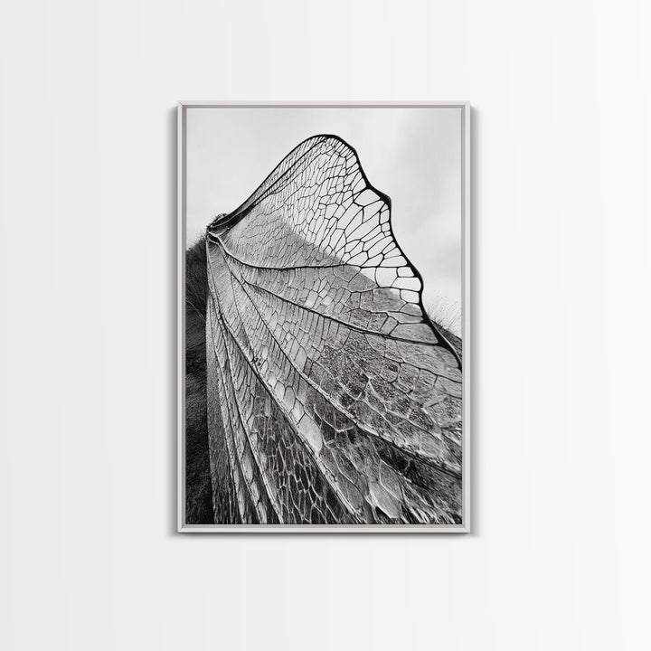 Dragonfly Wing, nature photography, moody art, wabi sabi art, minimalist art, botanical prints, framed canvas print, rustic wall art