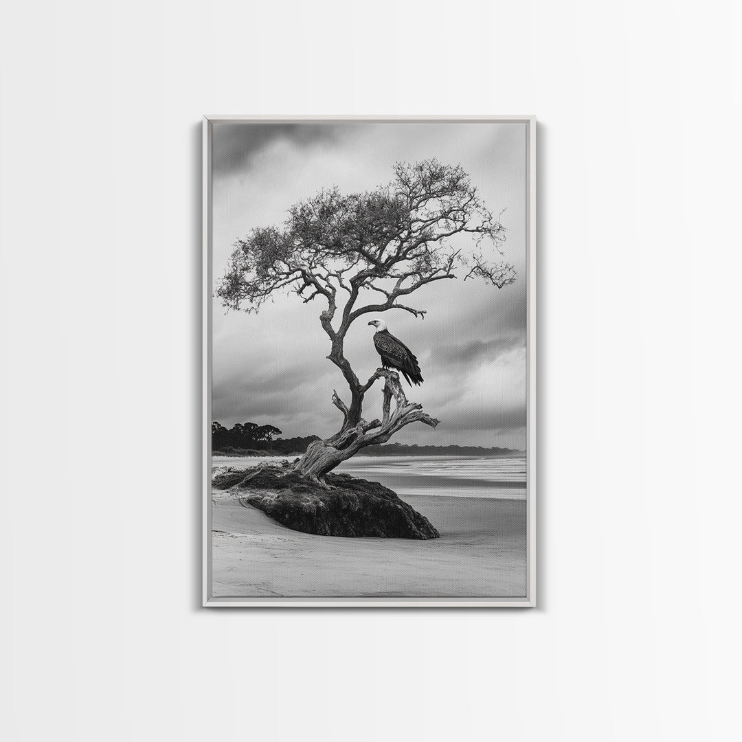 Bald eagle, nature wall art, moody art, wildlife photography, tree art, black and white art, above bed wall art, framed canvas print