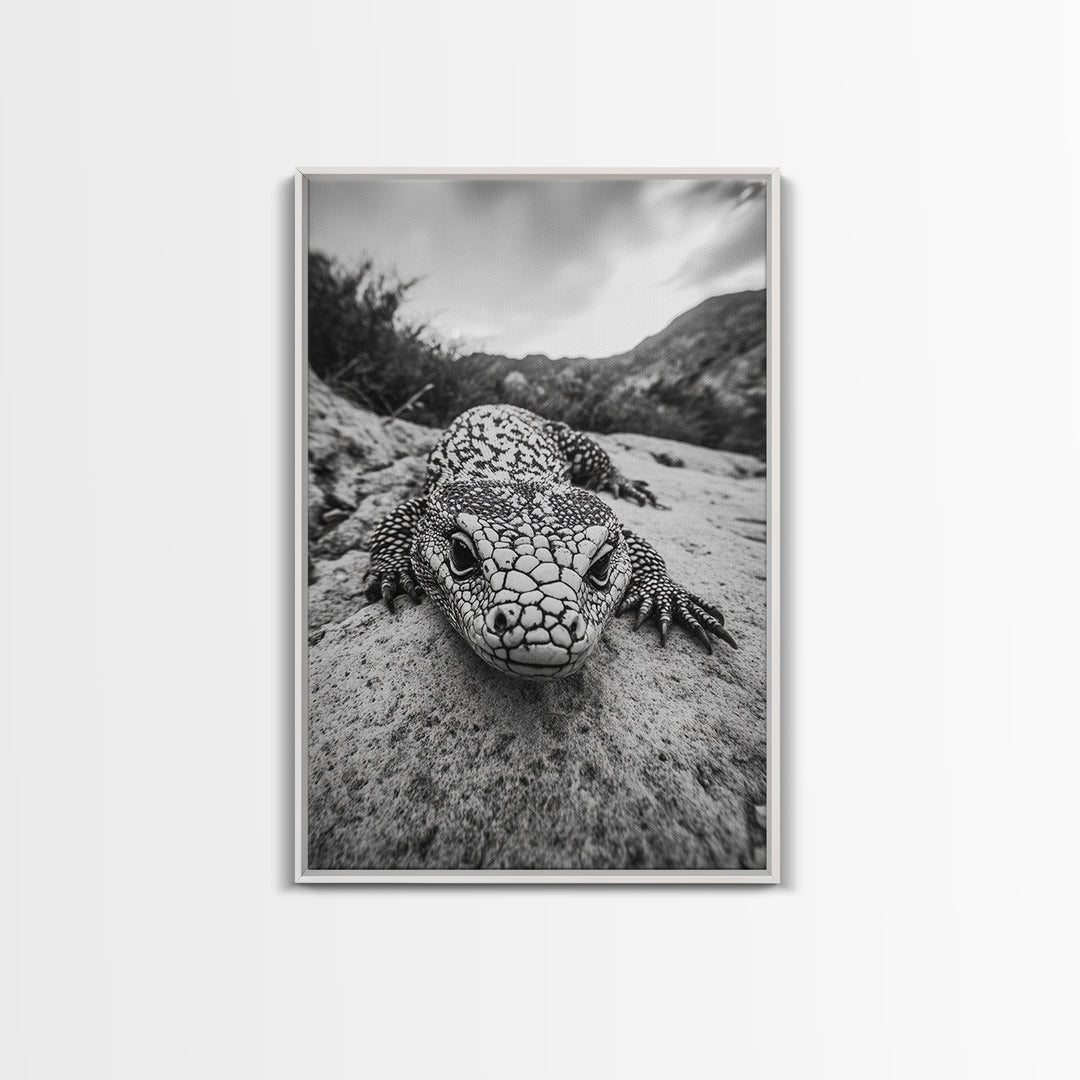 Lizard art, wildlife photography, moody art, desert decor, black and white photography, wabi sabi wall art, framed canvas print, unique gift