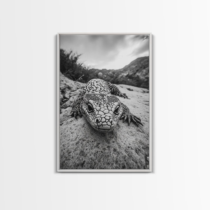 Lizard art, wildlife photography, moody art, desert decor, black and white photography, wabi sabi wall art, framed canvas print, unique gift