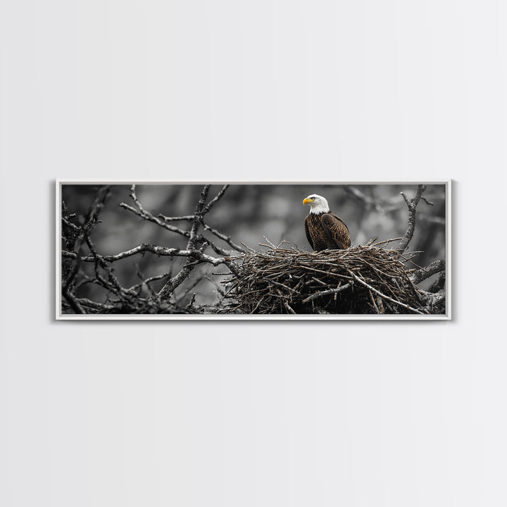 Bald Eagle, Nature Wall Art, Rustic Art, Wildlife Photography, Bird Art, Above Sofa Art, Panoramic Art, Framed Canvas Print