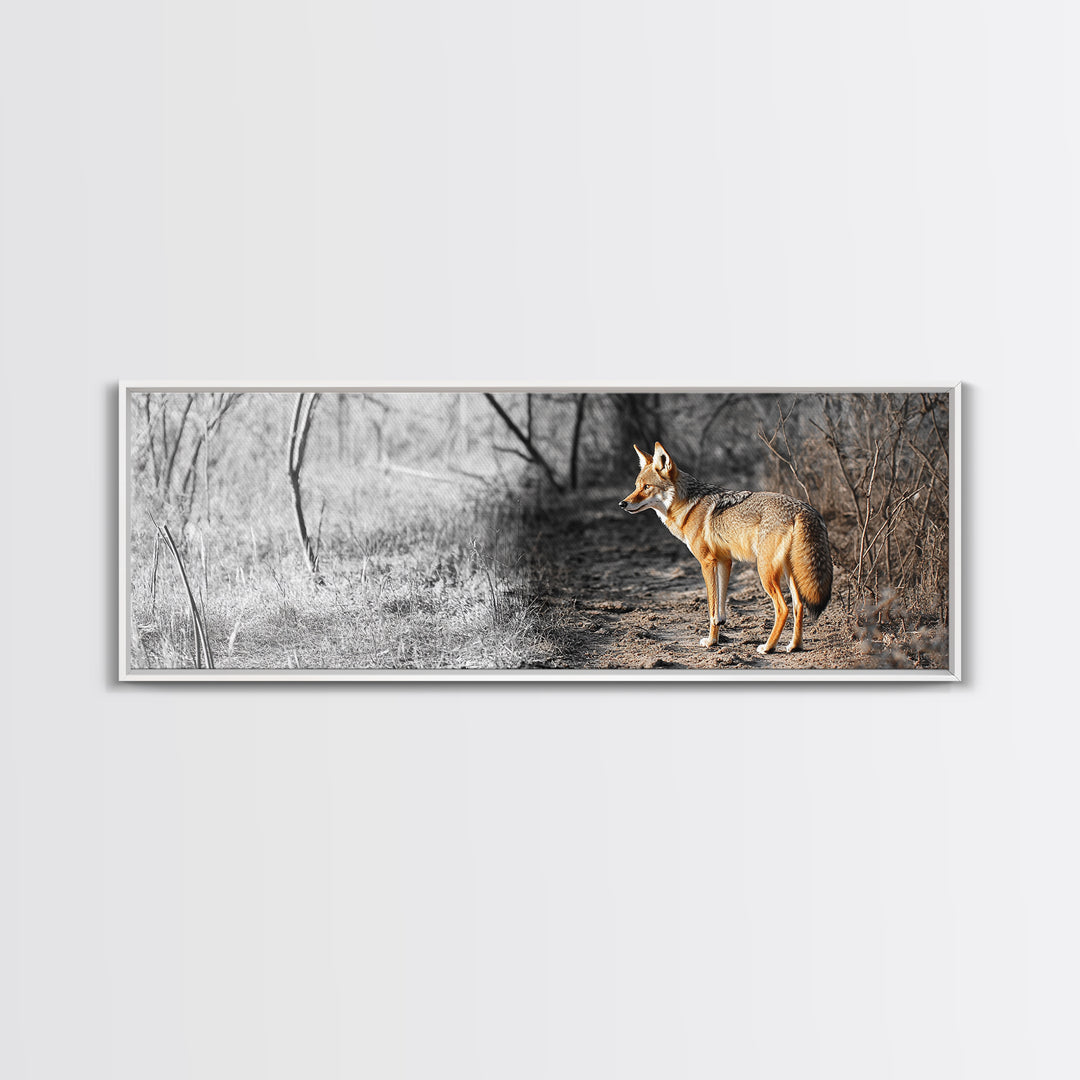 Coyote in Forest, Wildlife Wall Art, Rustic Decor, Nature Art, Moody Art, Extra Wide Art, Panoramic Art, Framed Canvas Print