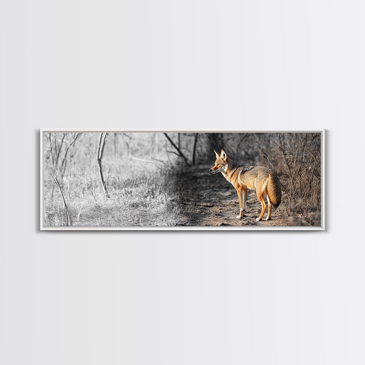 Coyote in Forest, Wildlife Wall Art, Rustic Decor, Nature Art, Moody Art, Extra Wide Art, Panoramic Art, Framed Canvas Print
