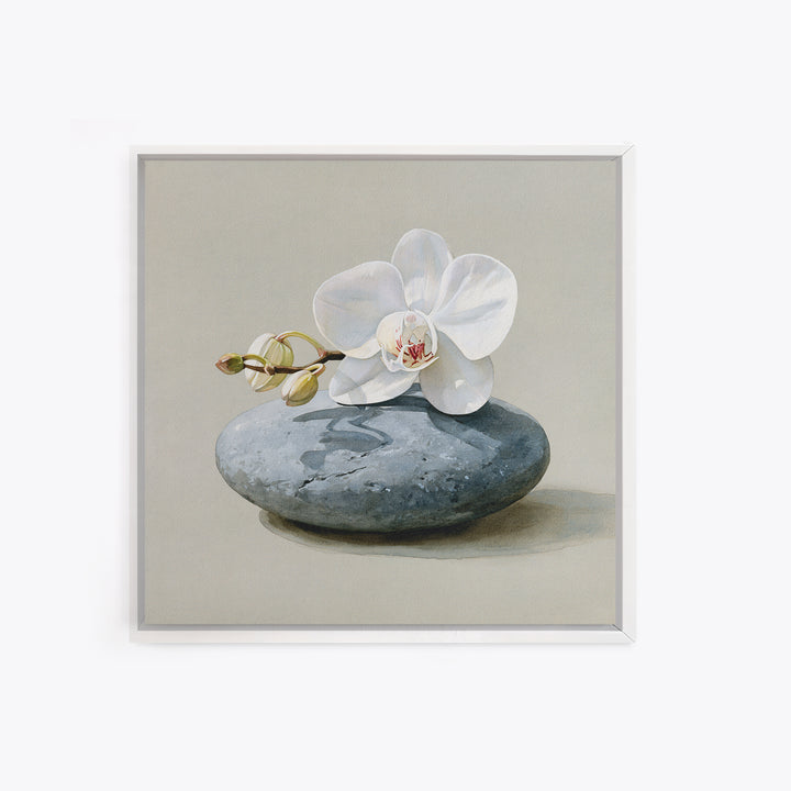 White Orchid on Smooth Gray Stone Canvas Print, Spa Art, Tarot Card Art, Spa Decor, Fine Art, Serenity, Textured Painting, SPA-1x1-26