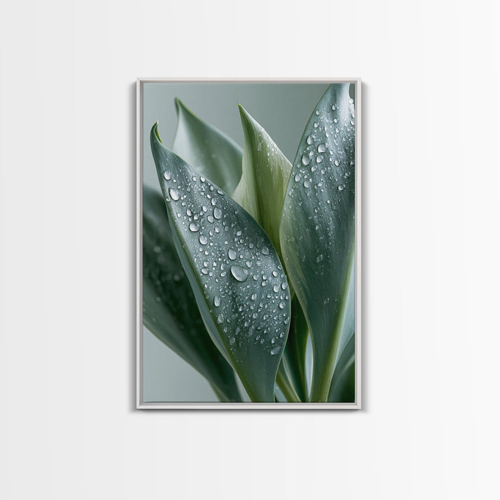 Rain on Leaves Framed Canvas Print, Spa Art, Modern Decor, Spa Decor, Fine Art, Serenity, Wall Decor, Printable Wall Art, SPA-2x3-24