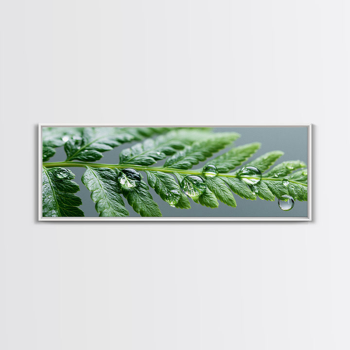 Fern Leaf Closeup Framed Canvas Print, Spa Art, Room Decor, Spa Decor, Fine Art, Serenity, Nature Prints, Travel Poster, SPA-3x1-27