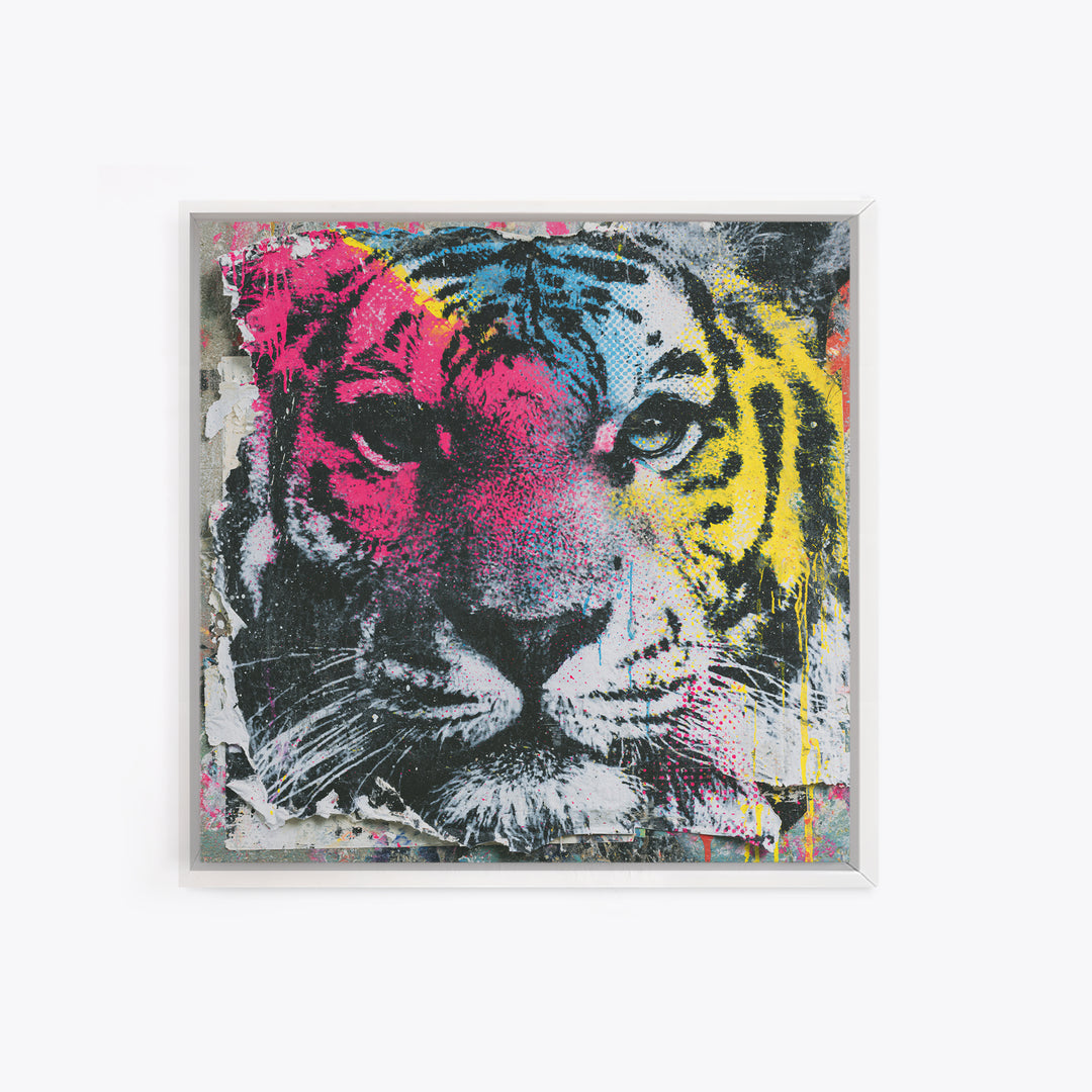 Spray Painted Tiger Face Framed Canvas Print, Street Art, Artwork, Living Room Decor, Fine Art, Urban, Pop Art, Banksy Wall Art, STR-1x1-56