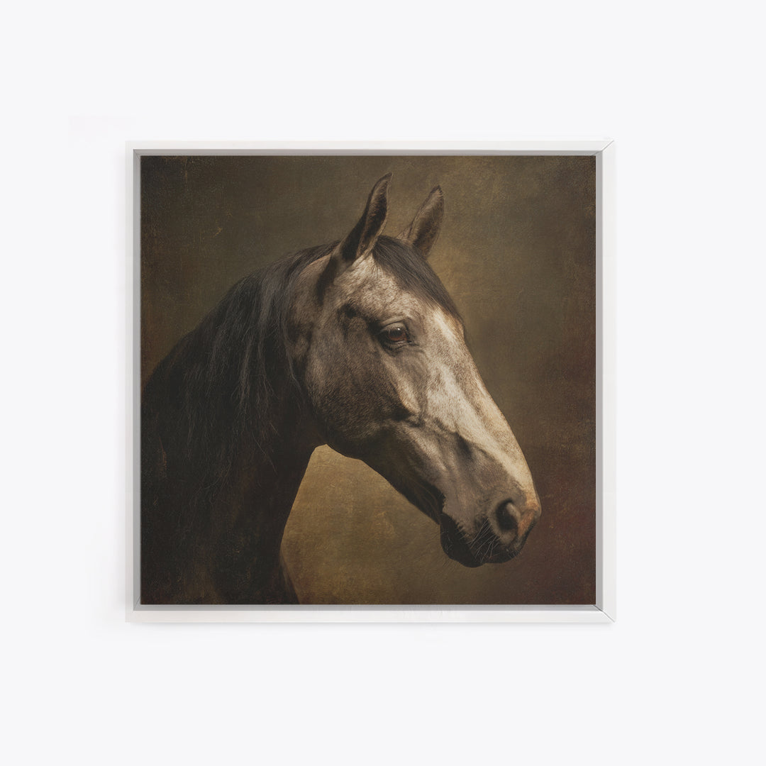 Realistic Horse Portrait Canvas Print, Traditional Art, Art, Living Room Decor, Classic, Printable Art, Art Commissions, TRA-1x1-99