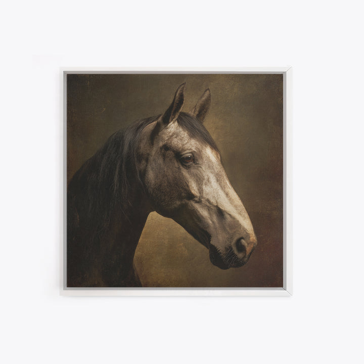 Realistic Horse Portrait Canvas Print, Traditional Art, Art, Living Room Decor, Classic, Printable Art, Art Commissions, TRA-1x1-99