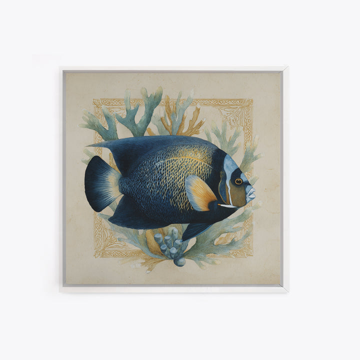 Tropical Fish over Coral Reef Framed Canvas Print, Tropical Art, Oversized Wall Art, Living Room Decor, Fine Art, Tropic, TRO-1x1-11