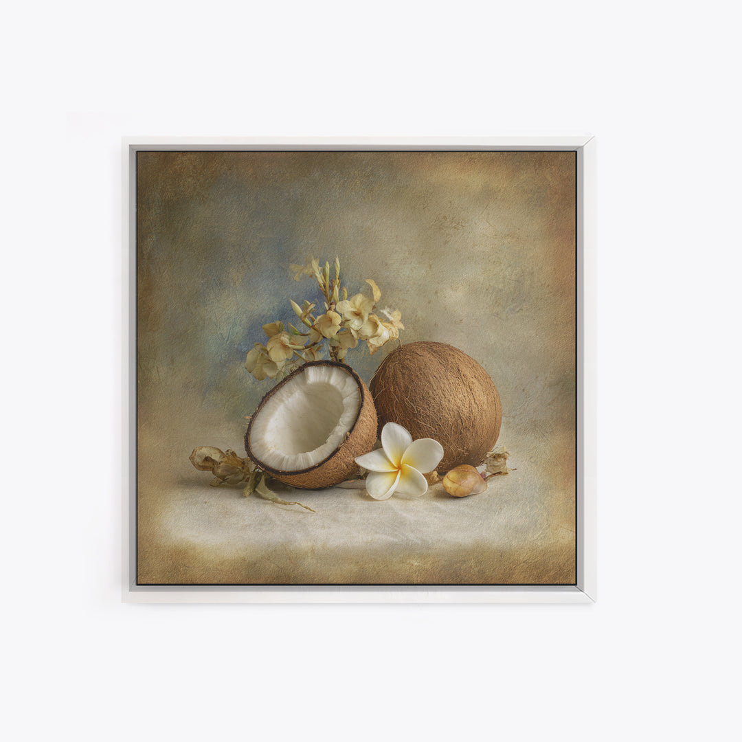 Coconut and Plumeria Still Life Framed Canvas Print, Tropical Art, Decor, Living Room Decor, Fine Art, Tropic, Bird Art, TRO-1x1-12