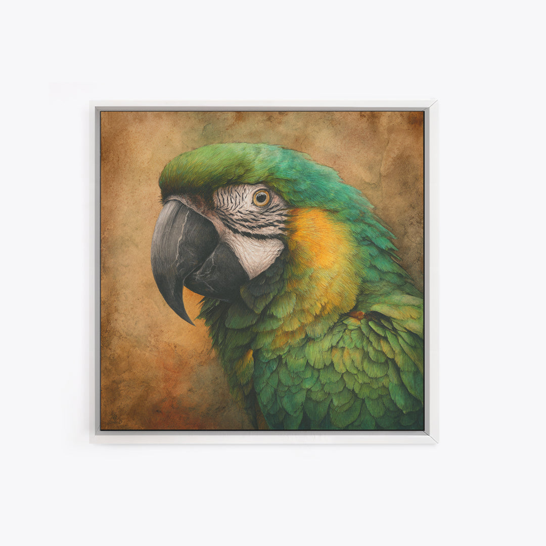 Parrot Portrait with Emerald Feathers Framed Canvas Print, Tropical Art, Gallery Decor, Living Room Decor, Fine Art, Tropic, TRO-1x1-32