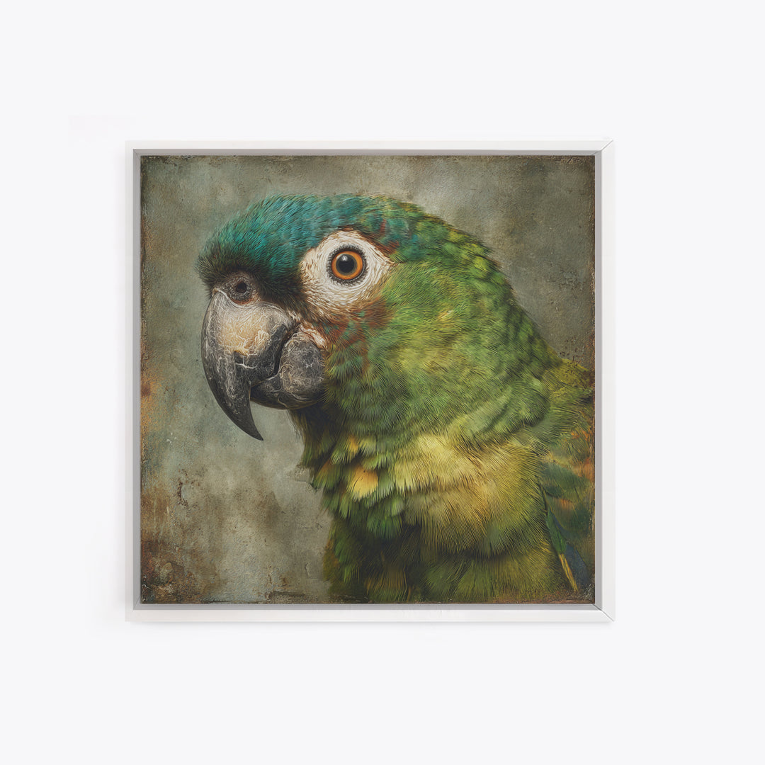 Parrot Portrait with Emerald Feathers Framed Canvas Print, Tropical Art, Digital Print, Living Room Decor, Fine Art, Tropic, TRO-1x1-56