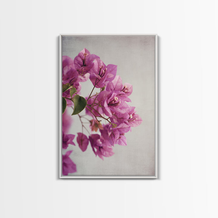 Pink Bougainvillea over White Wall Canvas Print, Tropical Art, Abstract Painting, Living Room Decor, Fine Art, Tropic, TRO-2x3-96