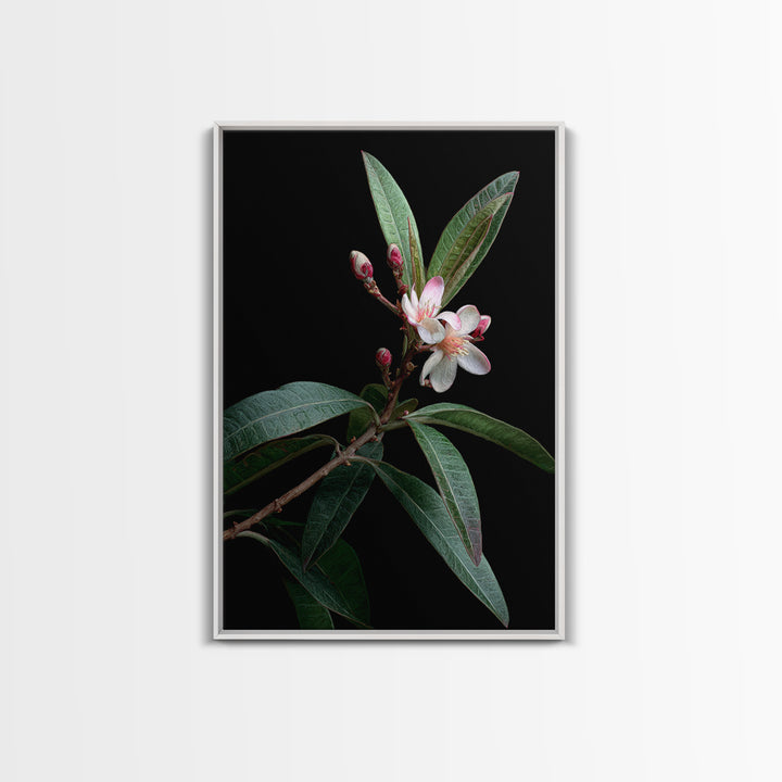 Mango Branch with Leaves and Flowers Framed Canvas Print, Tropical Art, Living Room Decor, Watercolor Art, Tropic, TRO-2x3-98