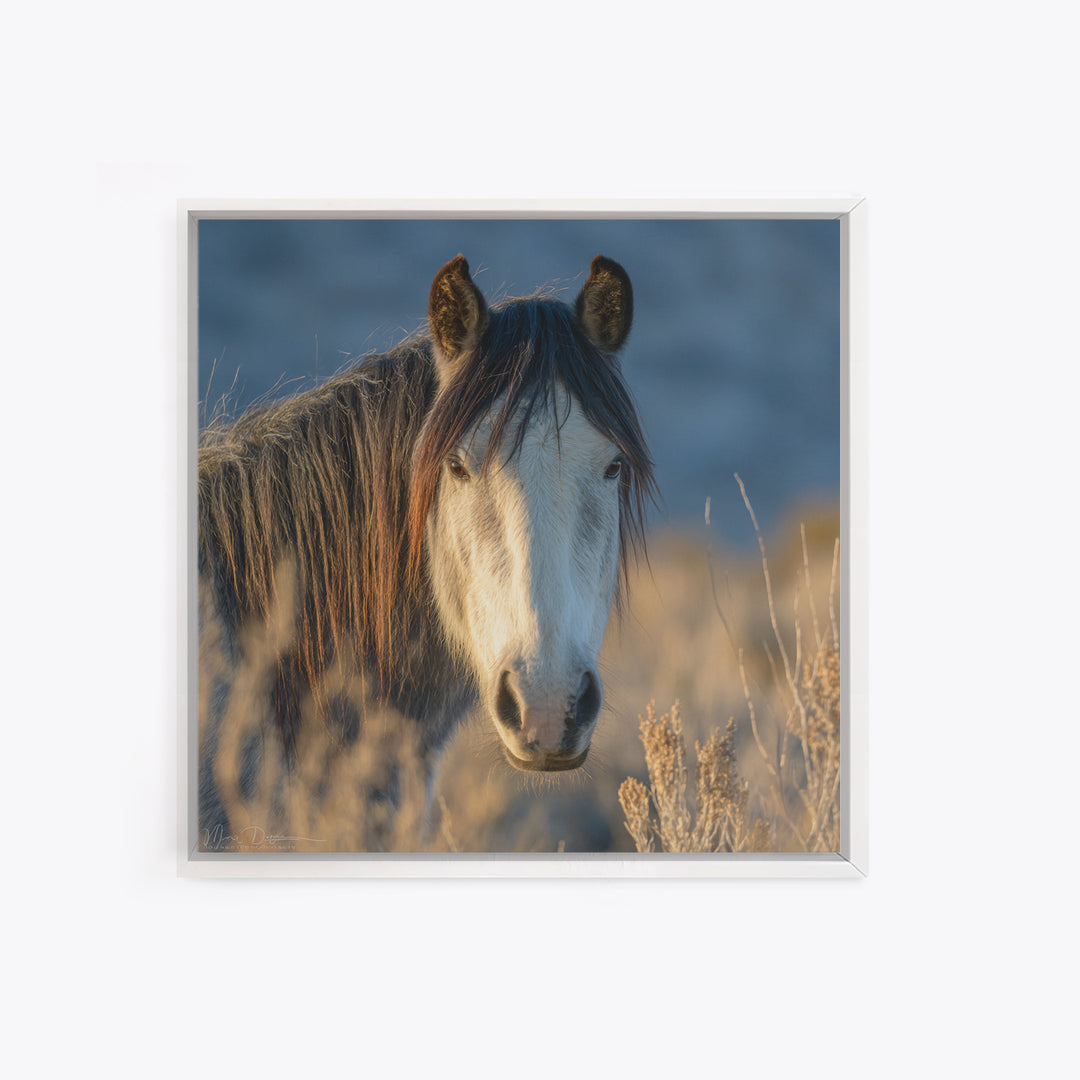 Wild Horse Portrait Framed Canvas Print, Wall Art, Boho Decor, Living Room Decor, Fine Art, Painting, Art Print, WAL-1x1-61