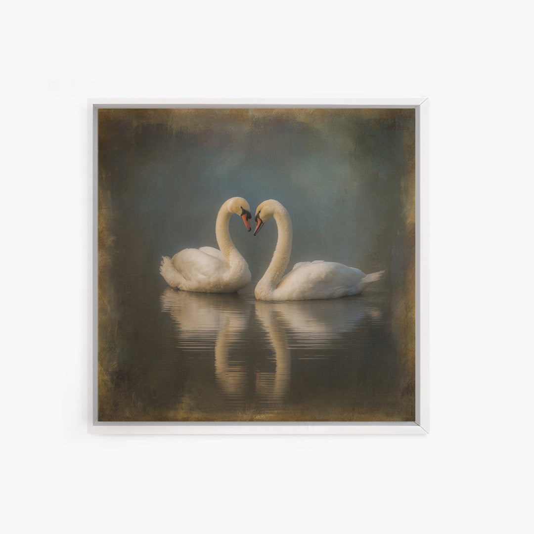 Two Swans Forming a Heart on Dark Canvas Print, Wedding Art, Unique Wedding Gift, Living Room Decor, Fine Art, Romance, WED-1x1-50