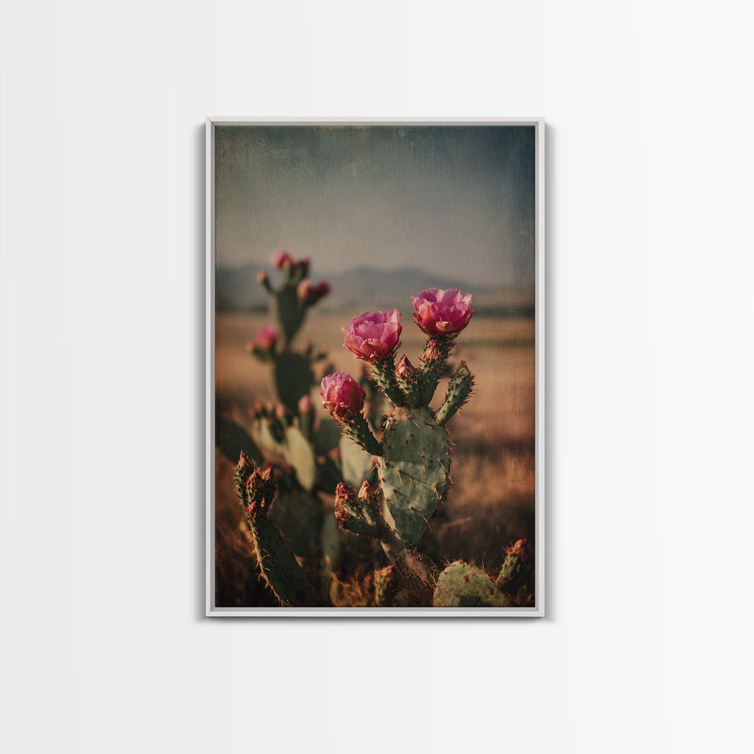 Prickly Pear Cactus Framed Canvas Print, Western Art, Modern Decor, Southwestern Decor, Fine Art, Frontier, Wall Decor, WES-2x3-24