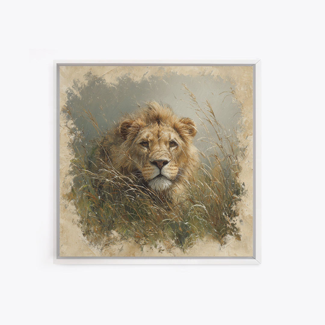 Lion Emerging from Golden Savanna Grass Canvas Print, Wildlife Art, Modern Decor, Living Room Decor, Fine Art, Wild, Home Decor, WIL-1x1-25