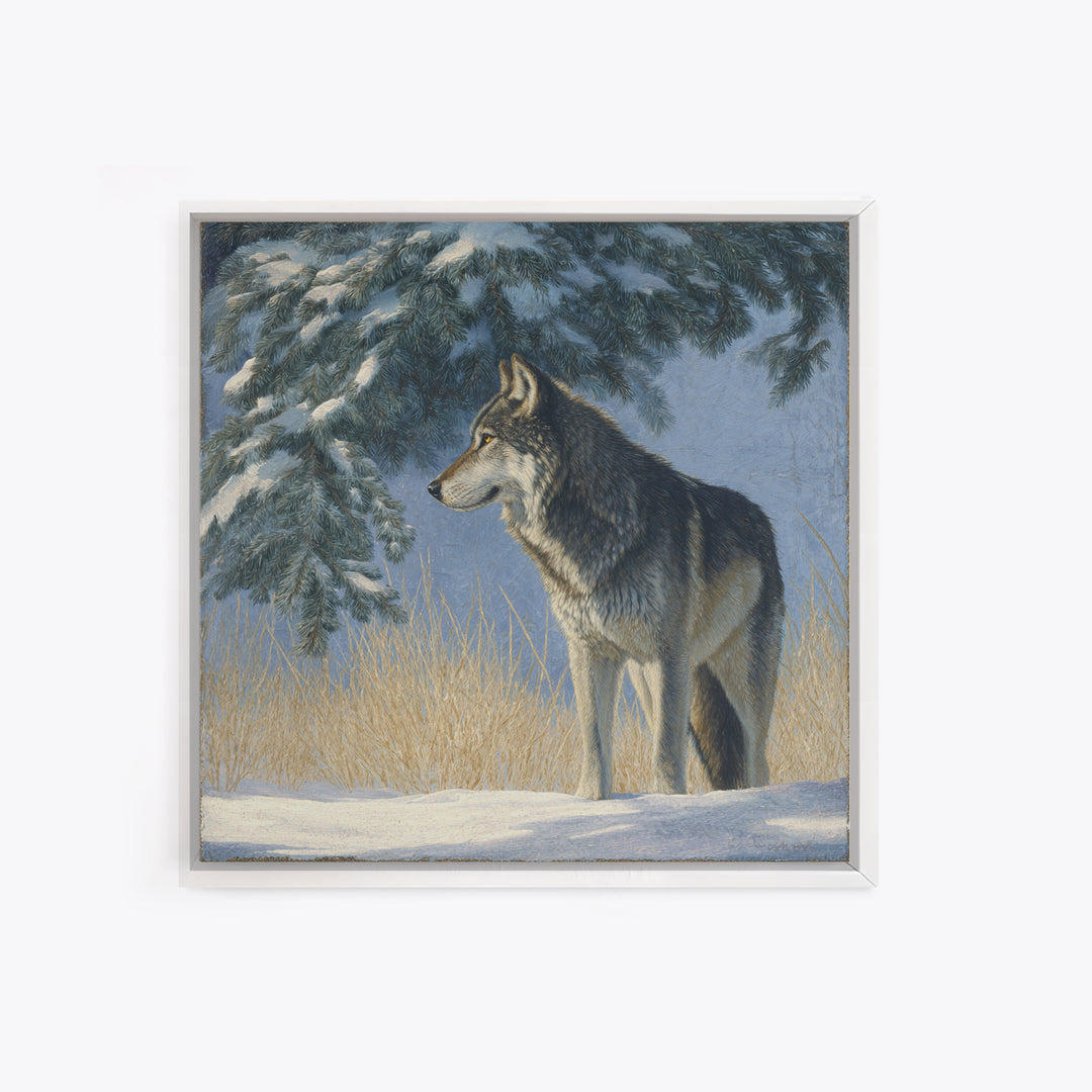 Wolf Standing Beneath Snowy Pine Trees Framed Canvas Print, Wildlife Art, Canvas Print, Living Room Decor, Fine Art, Wild, WIL-1x1-27