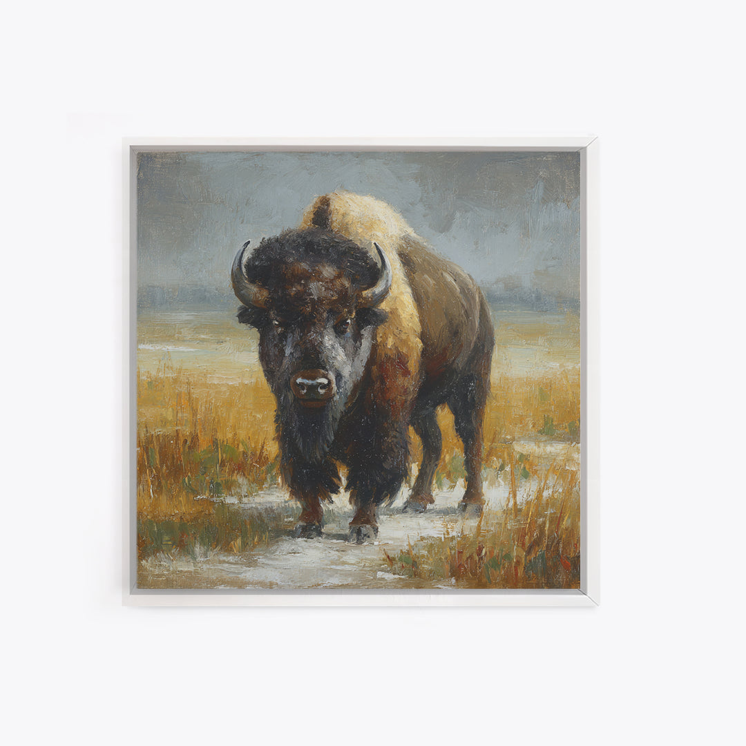 Bison on Wide Western Prairie Framed Canvas Print, Wildlife Art, Original Artwork, Living Room Decor, Oil Painting, Wild, WIL-1x1-37