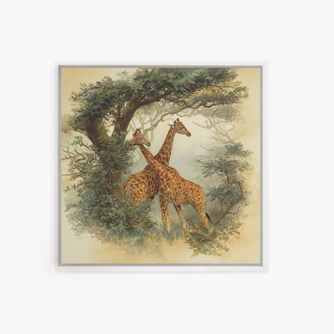 Giraffe Pair under Acacia Tree Framed Canvas Print, Wildlife Art, Living Room Decor, Fine Art, Wild, Living Room Art, WIL-1x1-7