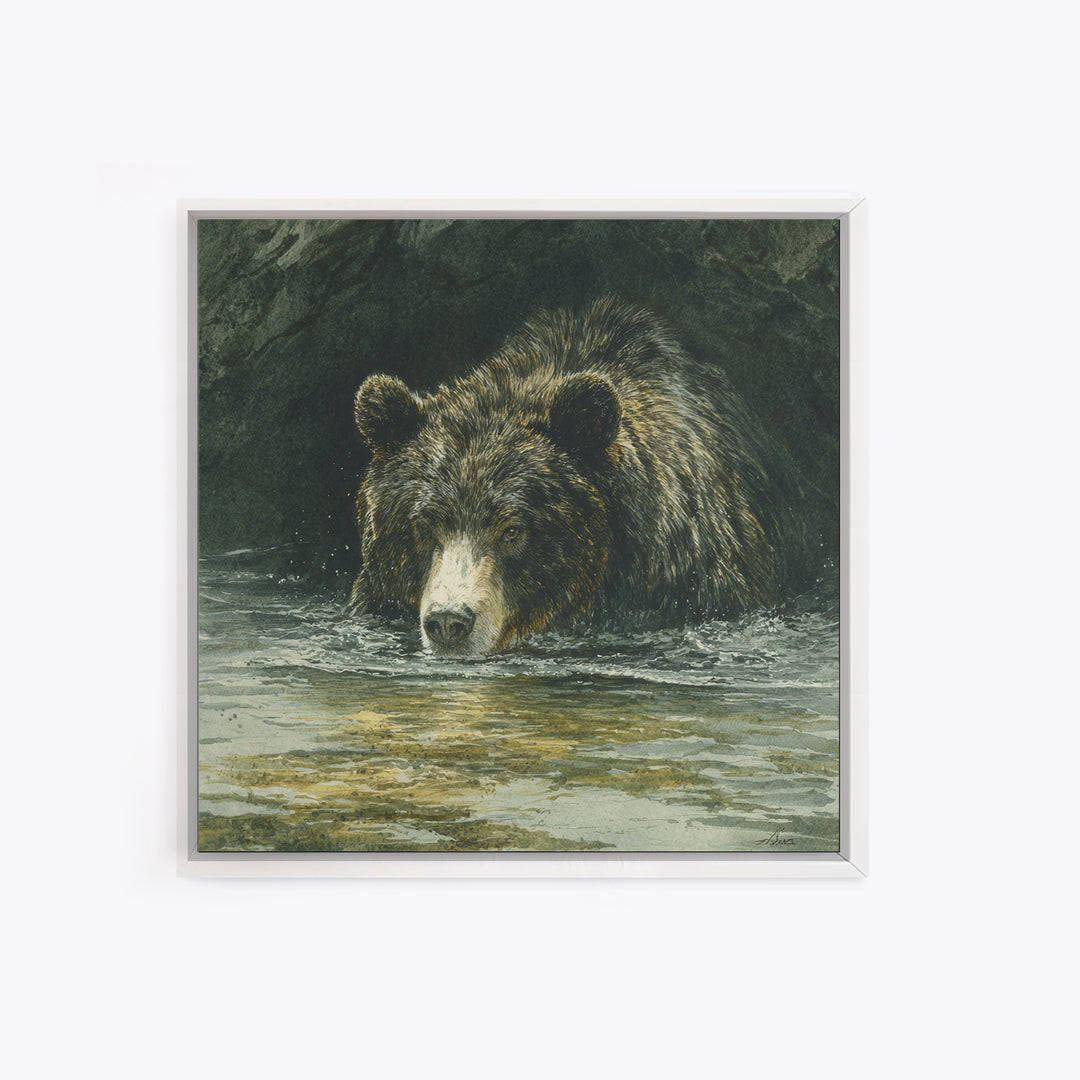 Bear Fishing in Rushing Mountain River Canvas Print, Wildlife Art, Canvas Painting, Living Room Decor, Fine Art, Wild, WIL-1x1-76