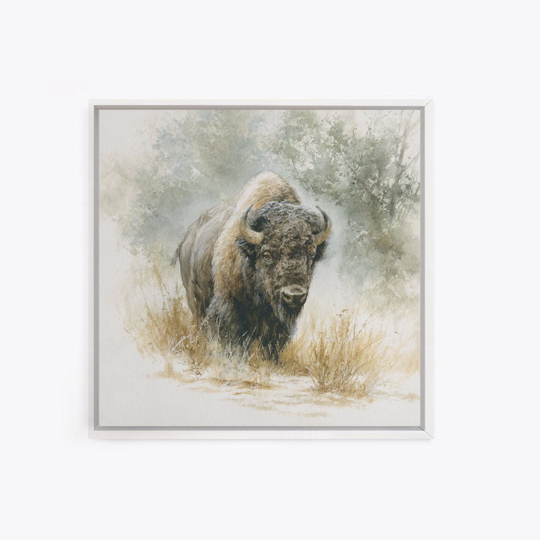 Bison on Wide Western Prairie Canvas Print, Wildlife Art, Boho Decor, Living Room Decor, Fine Art, Wild, Wall Hangings, WIL-1x1-85