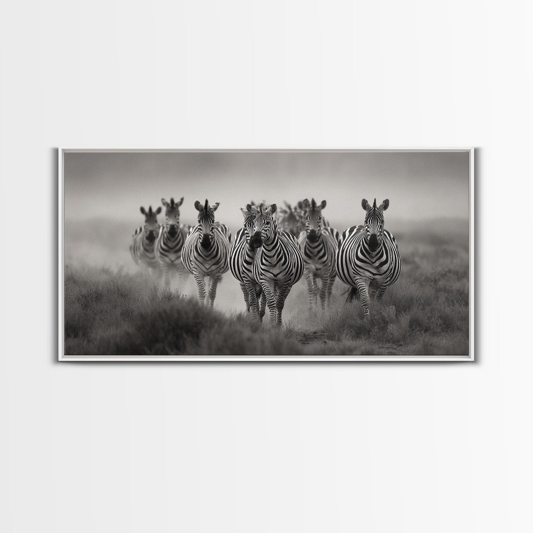 Zebra Herd in Graphic Black and White Framed Canvas Print, Wildlife Art, Boho Wall Decor, Living Room Decor, Fine Art, Wild, WIL-2x1-55