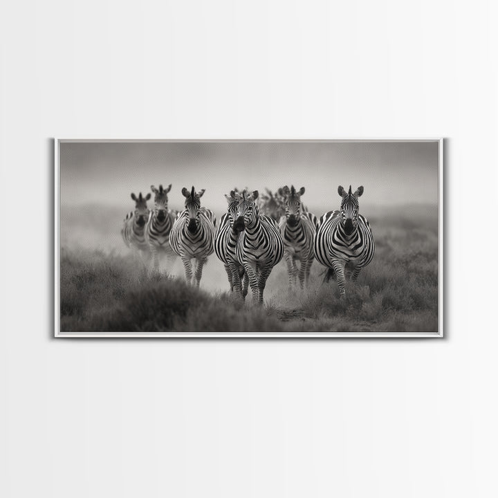 Zebra Herd in Graphic Black and White Framed Canvas Print, Wildlife Art, Boho Wall Decor, Living Room Decor, Fine Art, Wild, WIL-2x1-55