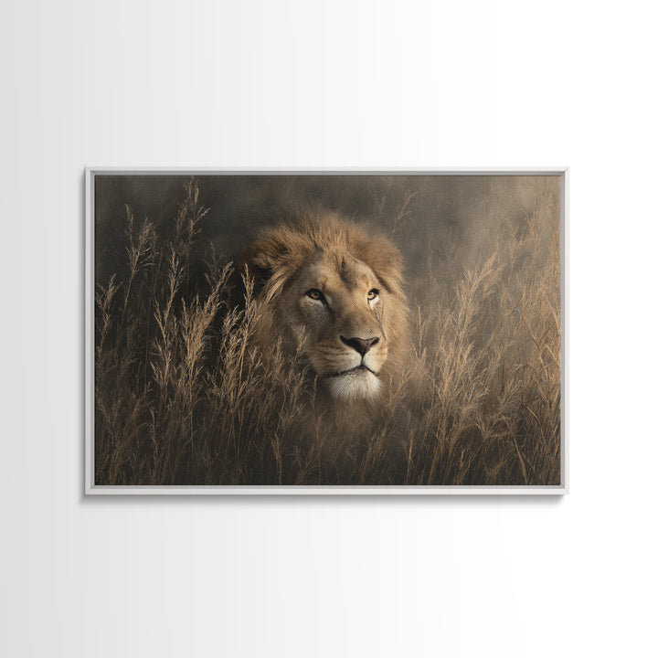 Lion Emerging from Golden Savanna Grass Canvas Print, Wildlife Art, Bird Wall Art, Living Room Decor, Fine Art, Wild, WIL-3x2-53