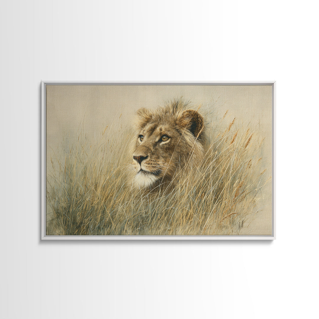 Lion Emerging from Golden Savanna Grass Framed Canvas Print, Wildlife Art, Gallery Decor, Living Room Decor, Fine Art, Wild, WIL-3x2-77