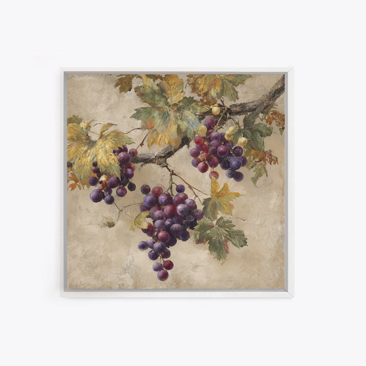 Grapevine Branch with Purple Grapes and Leaves Framed Canvas Print, Winery Art, Home Decor, Winery Decor, Fine Art, Vineyard, WIN-1x1-73
